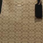 City Tote Bag In Micro Signature Canvas