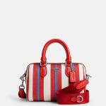 Mini Rowan Crossbody With Stripe Print