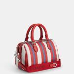 Mini Rowan Crossbody With Stripe Print