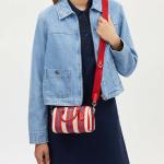 Mini Rowan Crossbody With Stripe Print